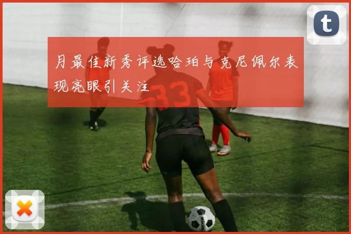 月最佳新秀评选哈珀与克尼佩尔表现亮眼引关注